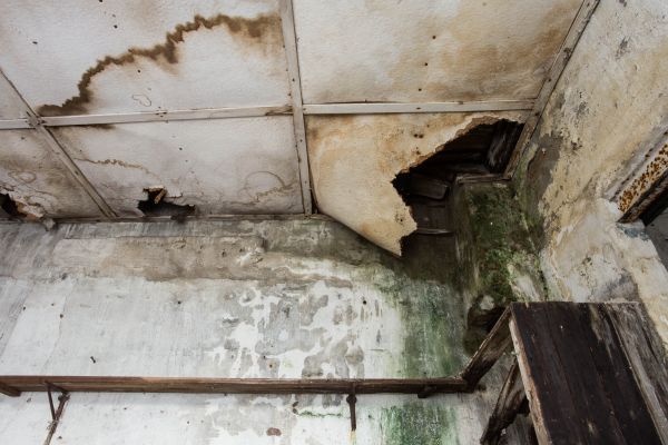 Cost of Water Damage Service in Draper