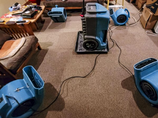 Cost of Flood Damage Recovery in Draper