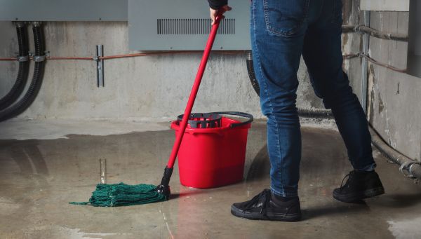 Cost of Flooded Basement Cleanup in Draper