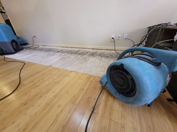 Cost of Water Damage Mitigation in Draper