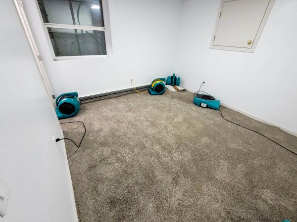 Cost of Flood Restoration Service in Draper