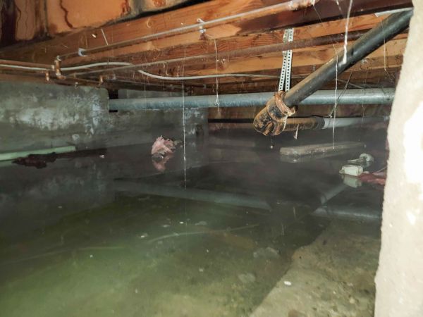 Cost of Crawl Space Drying in Draper