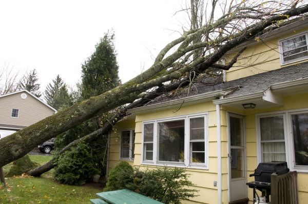 Cost of Hurricane Damage Repair in Draper